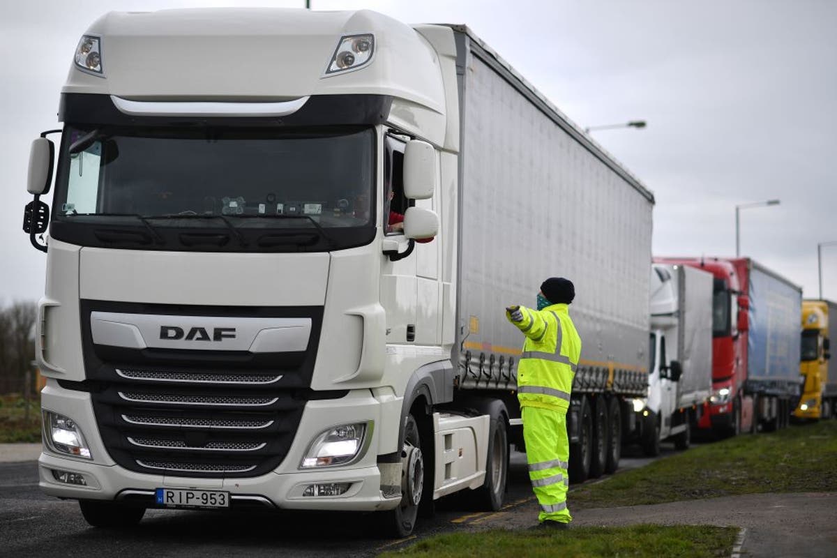 GPs accused of contributing to lorry driver shortage with ‘extortionate’ fees and long waits for medicals