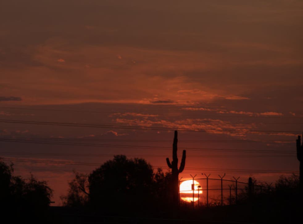 <p>The sun rises behind saguaro cacti at Papago Park on June 17 in Phoenix, Arizona. The National Weather Service has issued an Excessive Heat Warning for central Arizona through Sunday</p>