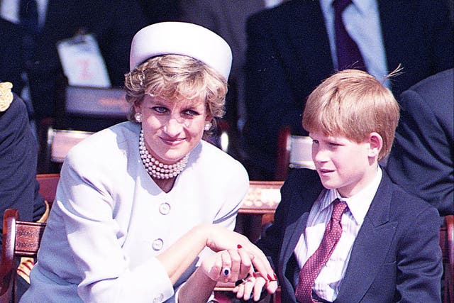 <p>Princess Diana and son Harry in Hyde Park, London, in May 1995</p>