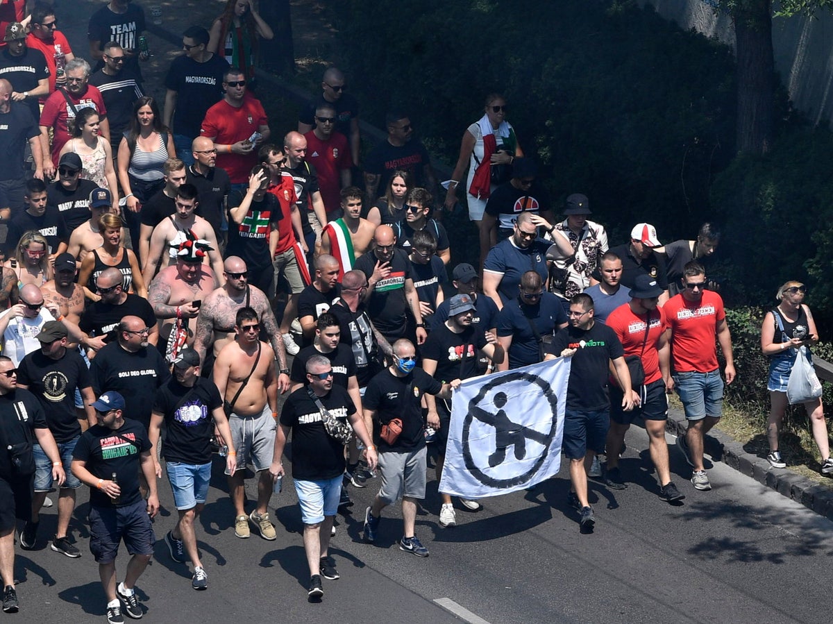 Hungary fans unveil anti-kneeling banner before Euro 2020 ...