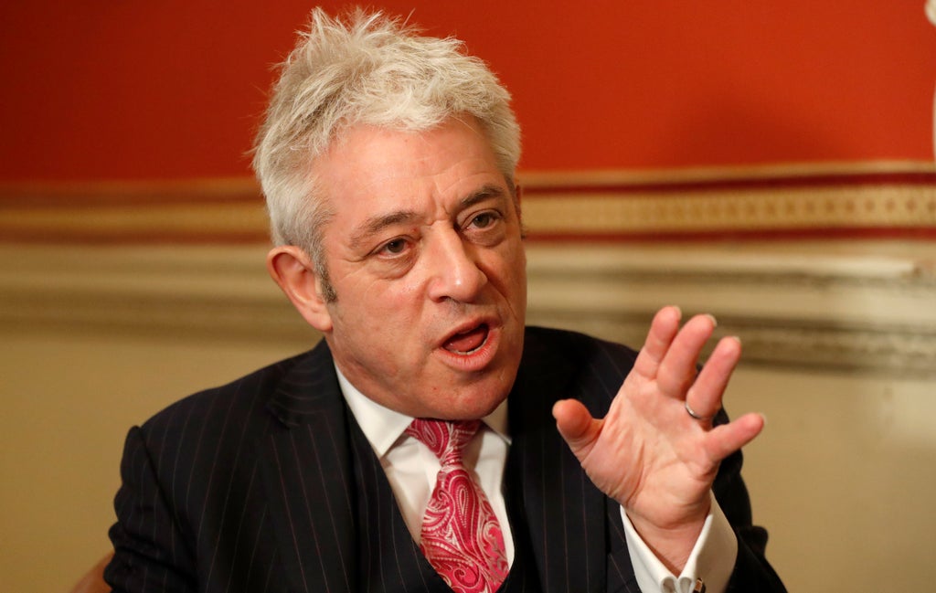 Critics of Angela Rayner ‘scum’ comments should stay off ‘moral high horse’, John Bercow says