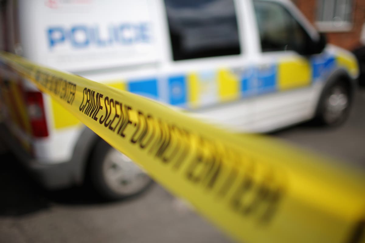 Man held on suspicion of double murder in Basingstoke