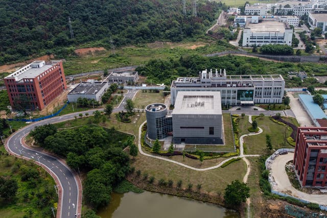 <p>This aerial view shows the P4 laboratory (C) on the campus of the Wuhan Institute of Virology in Wuhan in China's central Hubei province on May 27, 2020.</p>