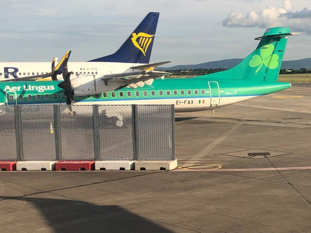 <p>Big rivals: aircraft in the colours of Aer Lingus and Ryanair at Dublin airport</p>