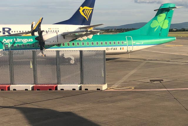 <p>Big rivals: aircraft in the colours of Aer Lingus and Ryanair at Dublin airport</p>