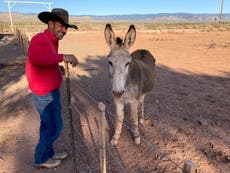 ‘I’ve had my own family say some pretty nasty things’: Trump cowboy Couy Griffin faces uncertain political future