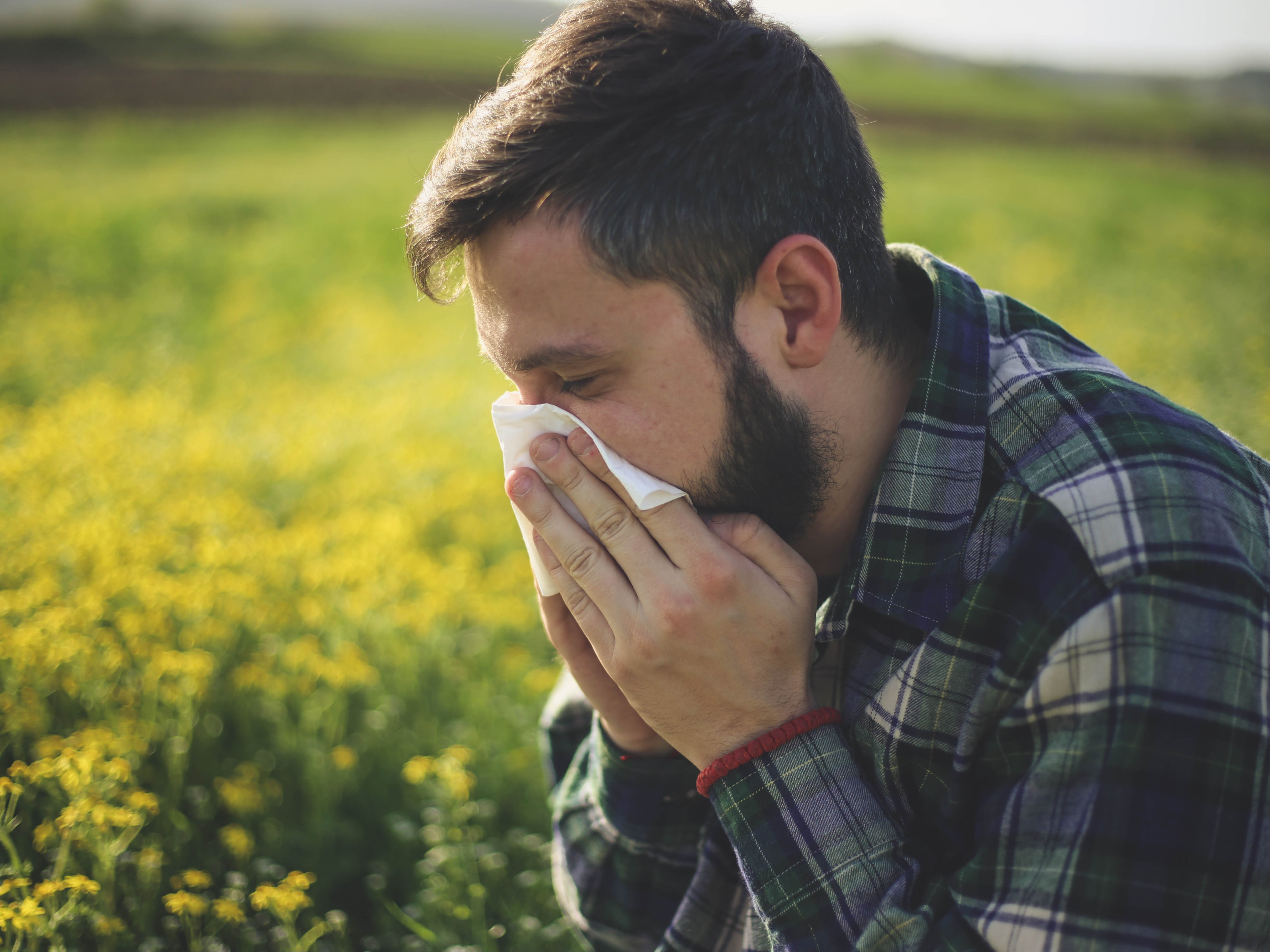 Millions of Britons suffer with hay fever every year