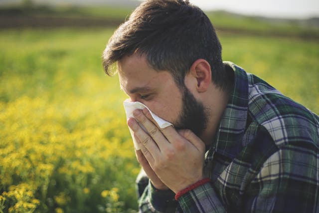 <p>High pollen count has been forecast for the UK this week</p>