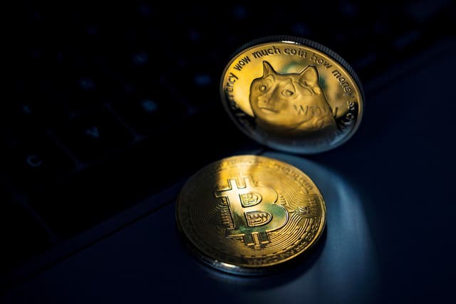<p>Dogecoin lost more than a third of its value between 15-22 June, 2021</p>