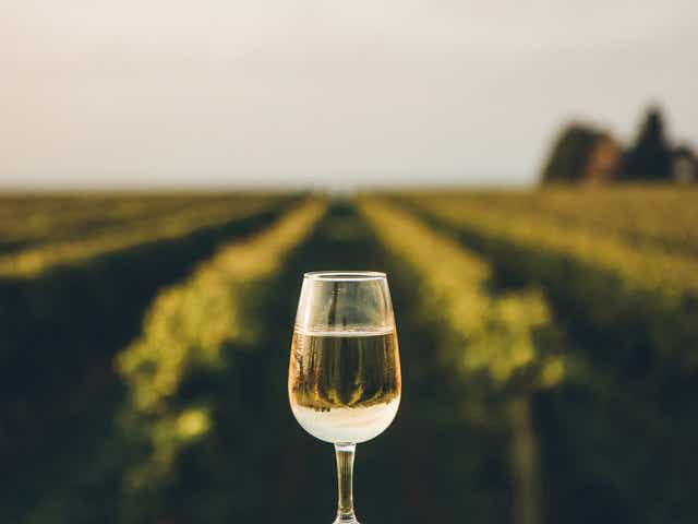 <p>A rare dessert wine produced from the juice of naturally frozen grapes that have been picked in the middle of a cold Canadian winter</p>