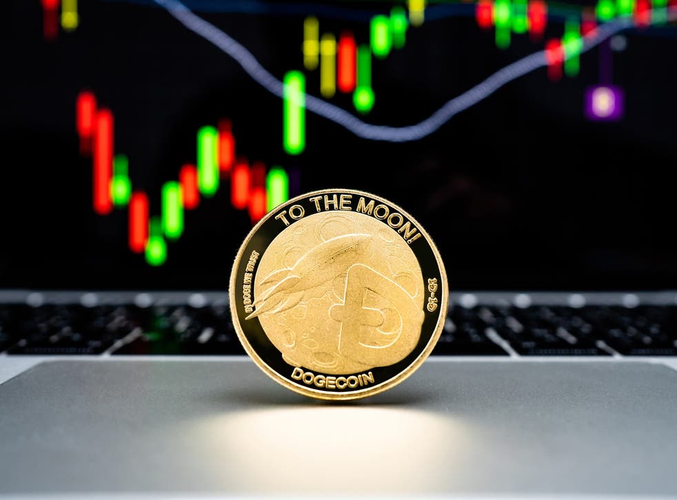 <p>The price of dogecoin peaked in May but fell dramatically, losing around 75 per cent of its value by 22 June, 2021</p>