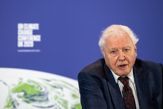 <p>Sir David Attenborough has criticised the government for its att</p>