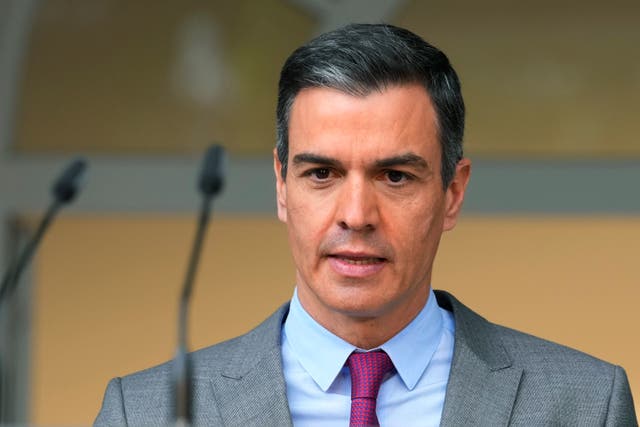 <p>Spanish Prime Minister Pedro Sanchez</p>