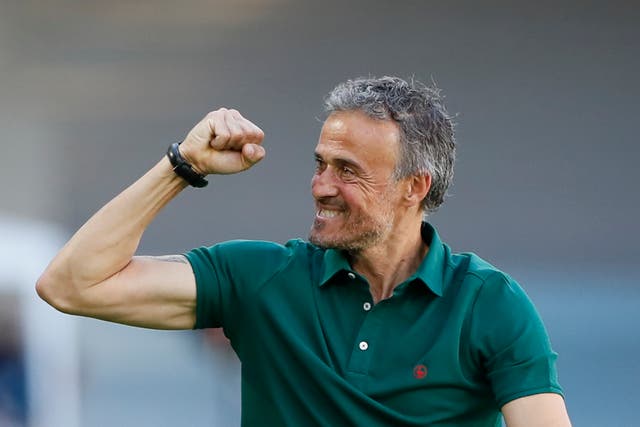 <p>Spain coach Luis Enrique celebrates</p>