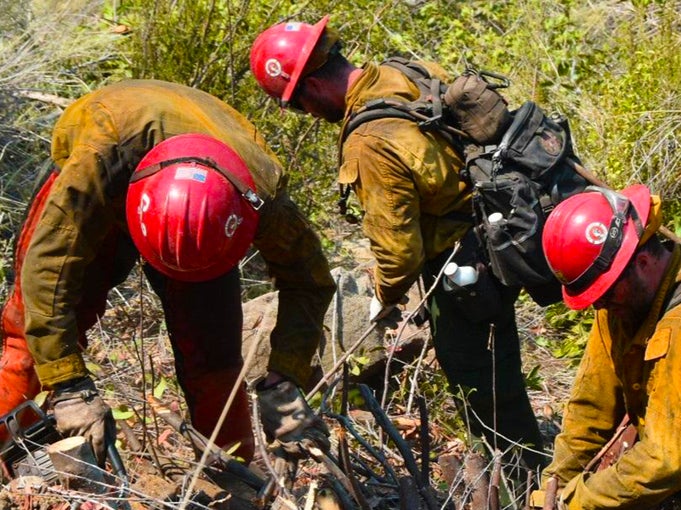 A group of firefighter monks clearing brush in California