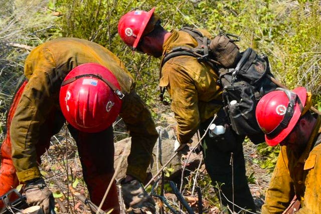 <p>A group of firefighter monks clearing brush in California</p>