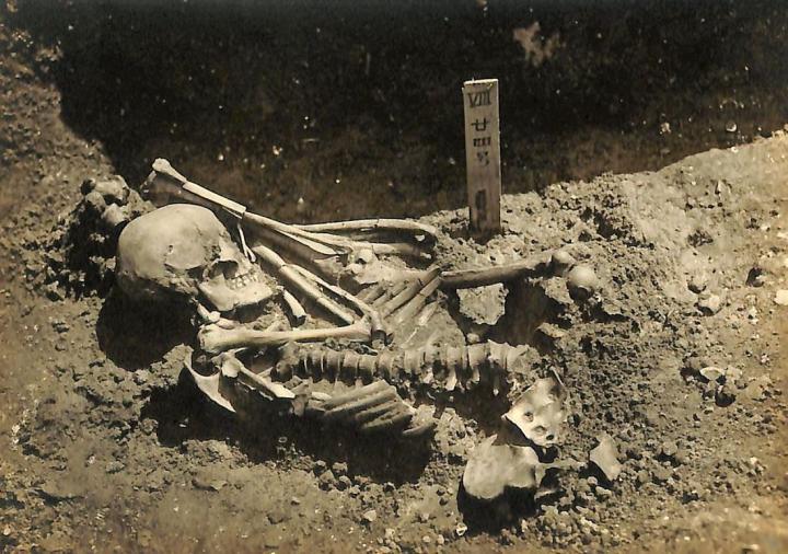 Original excavation photograph of Tsukumo No. 24, courtesy of the Laboratory of Physical Anthropology, Kyoto University