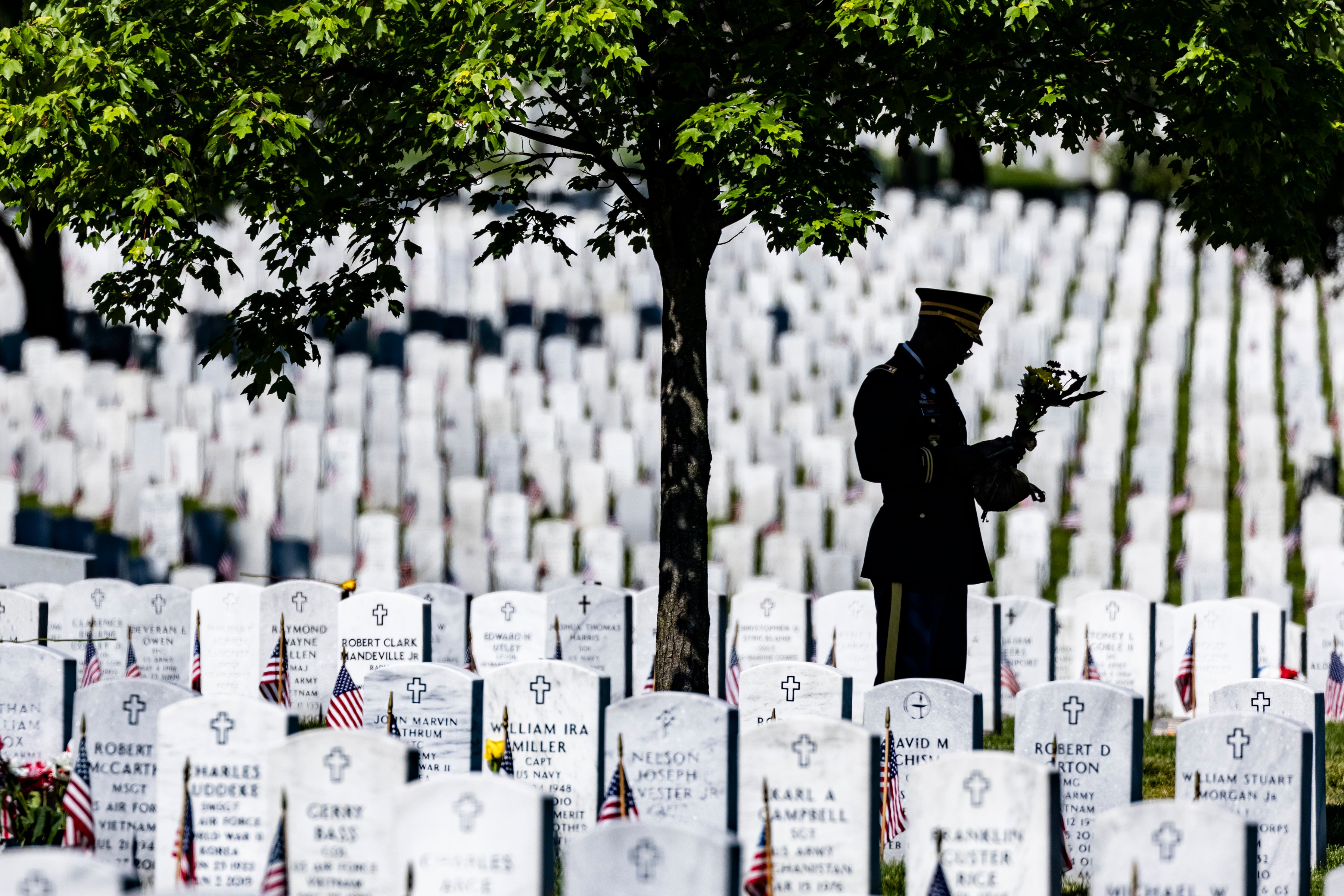 Historians and educational staff at Arlington carefully curate lesson plans for students, some of which are now no longer available on the cemetery’s website. The Army said it was ‘working diligently’ to return the removed content but did not specify when.