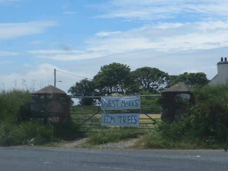 ‘Save St Marks elm trees’, reads a banner in the village where over 20 mature trees are to be chopped down to improve access to a farm