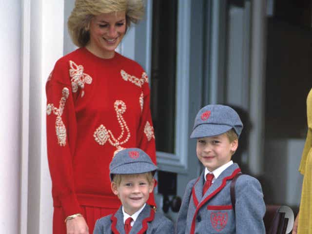 <p>Princess Diana with Princes William and Harry at School</p>