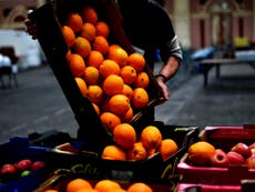 150 million meals a year thrown away rather than given to hungry because of £600m government subsidies