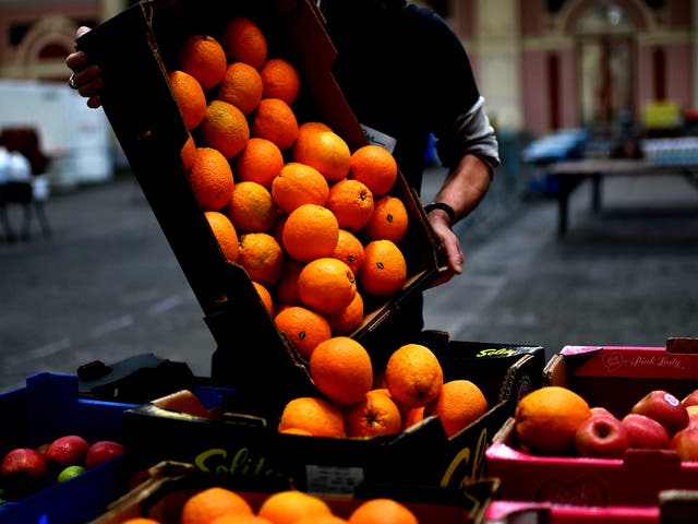 <p>What a waste: While food is distributed from a food bank in London, 65,000 tonnes of surplus food is sent to waste plants </p>