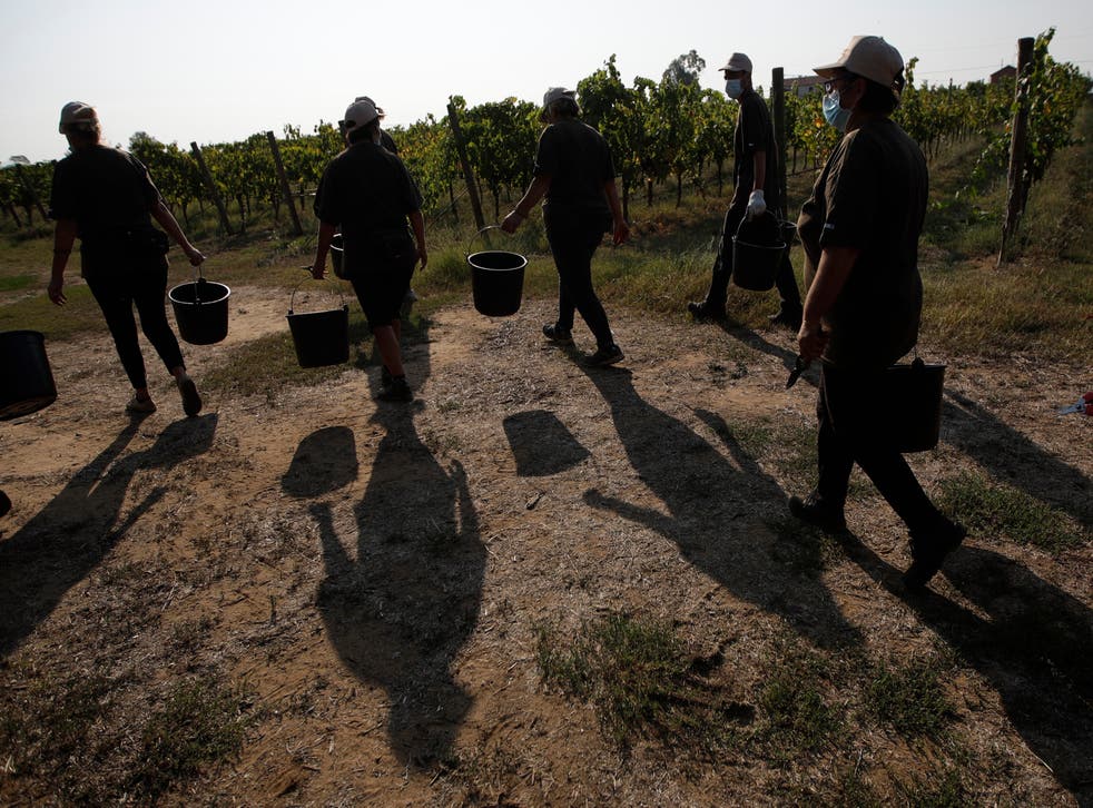 ITALIA MIGRANTES