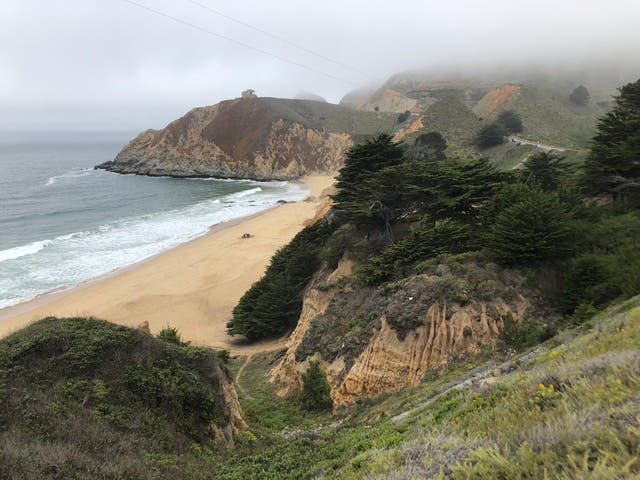 <p>A surfer was hospitalised on Saturday after being bitten by a great white shark at Gray Whale Cove State Beach in Half Moon Bay, California.</p>