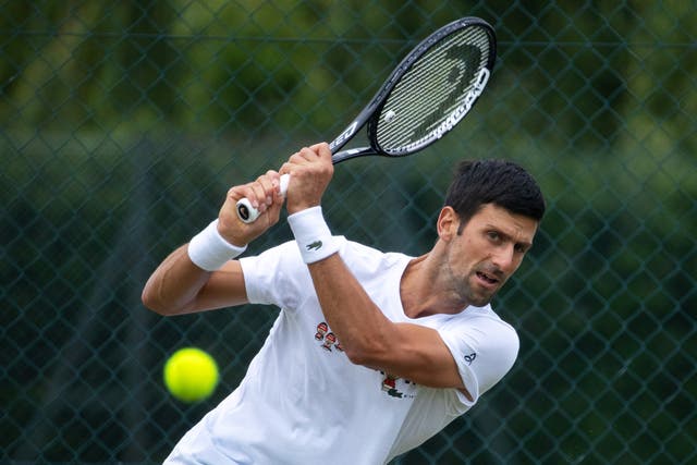 <p>Novak Djokovic is the favourite for Wimbledon this year</p>
