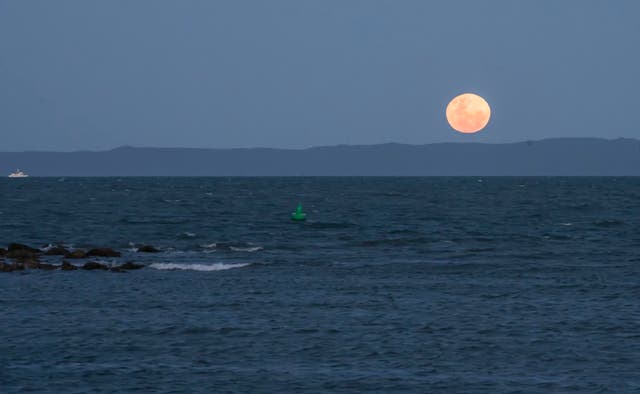 <p>The whole of the moon: Summer’s full moons hang just above the horizon</p>