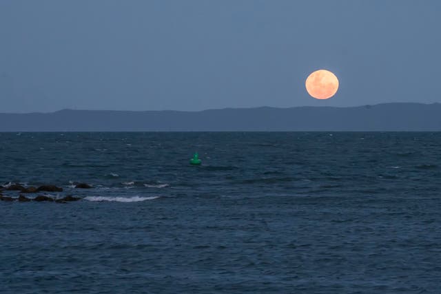 <p>The whole of the moon: Summer’s full moons hang just above the horizon</p>