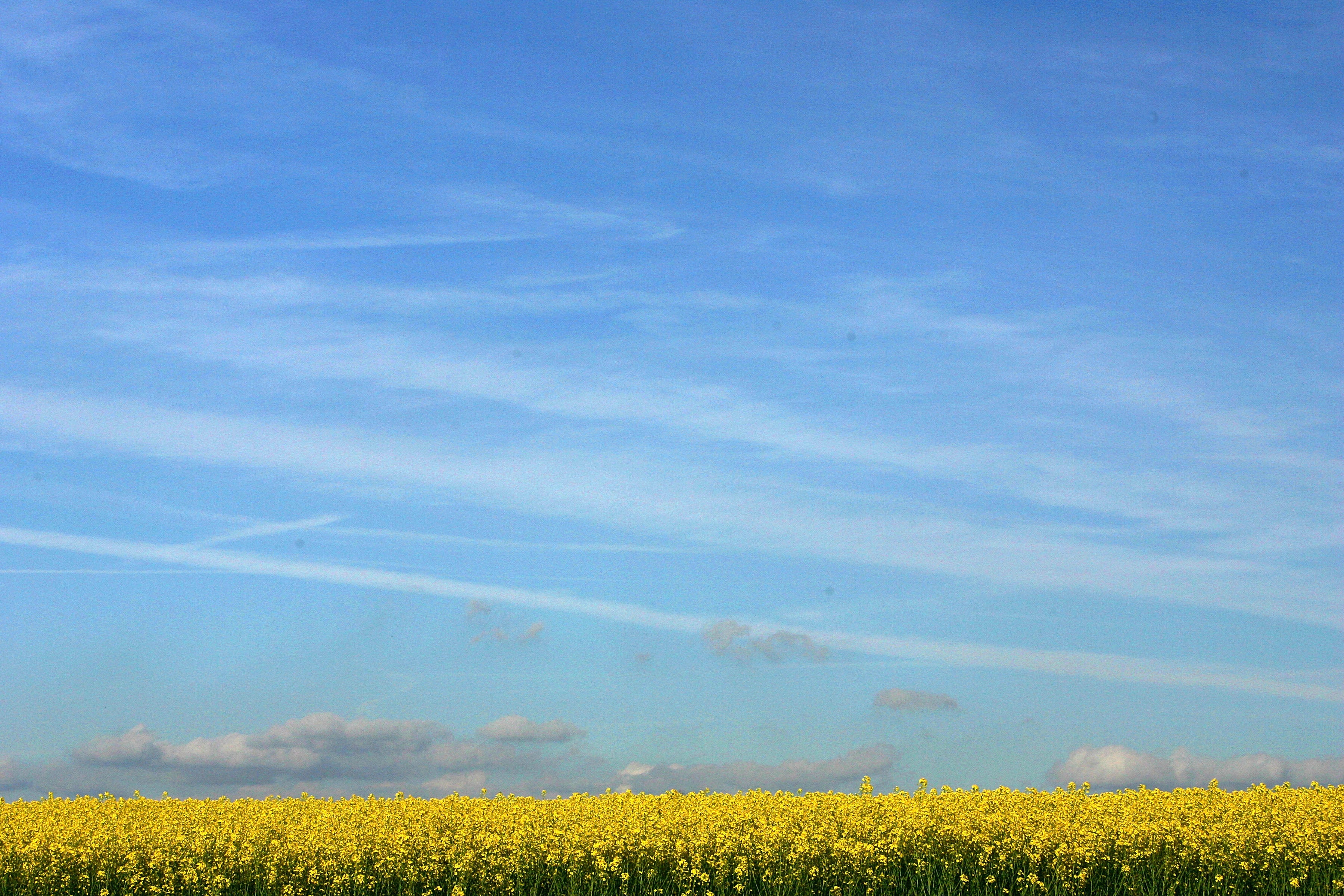 Many UK adults admitted that the weather could put them in a bad mood