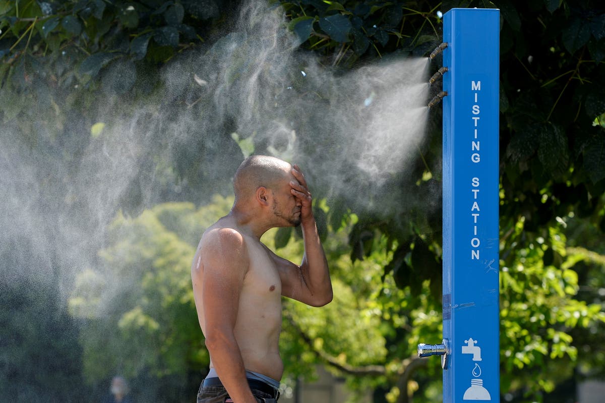 Canada gripped by record 46.6C temperatures in unprecedented heatwave