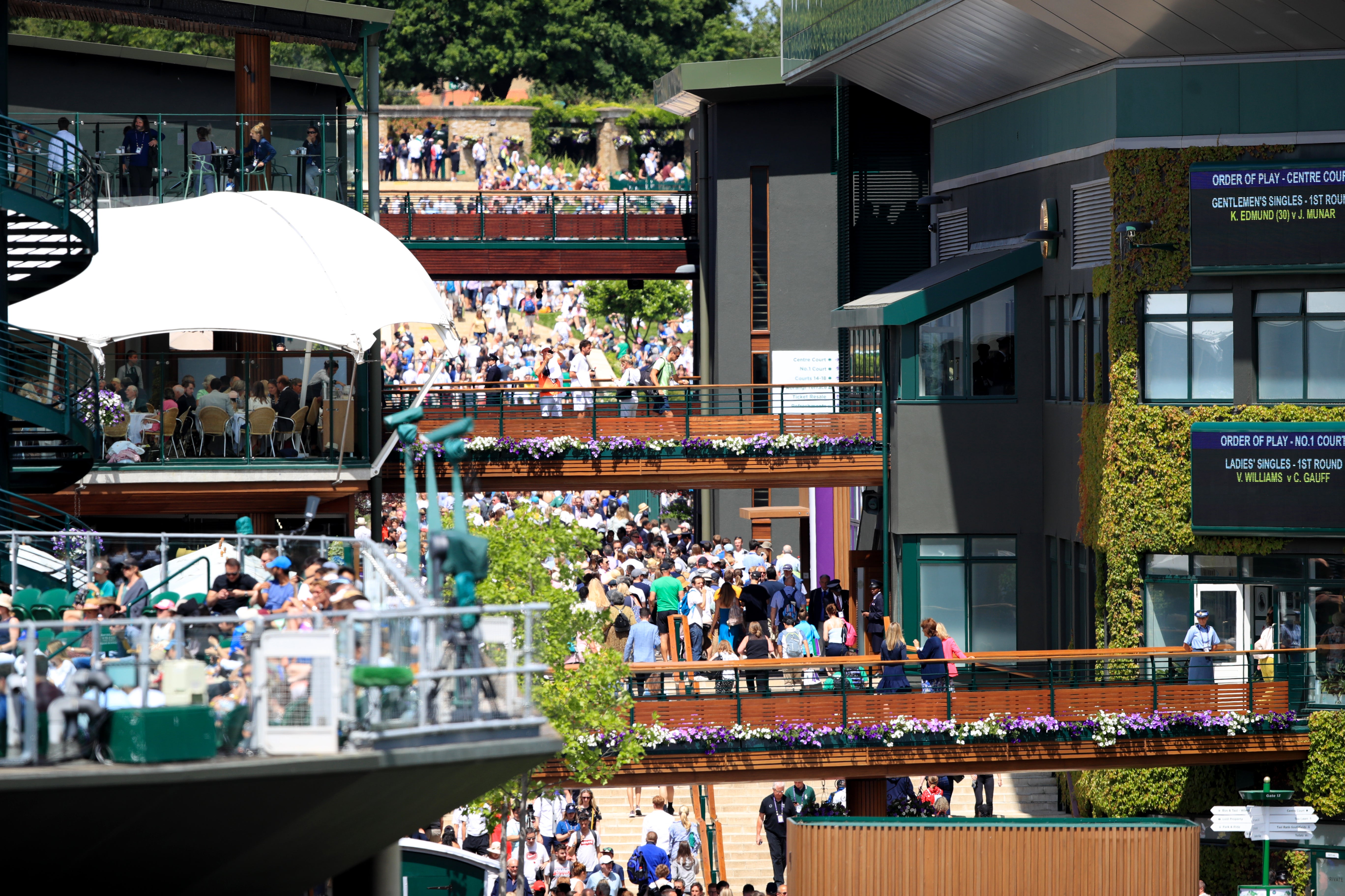 fans walk around the grounds