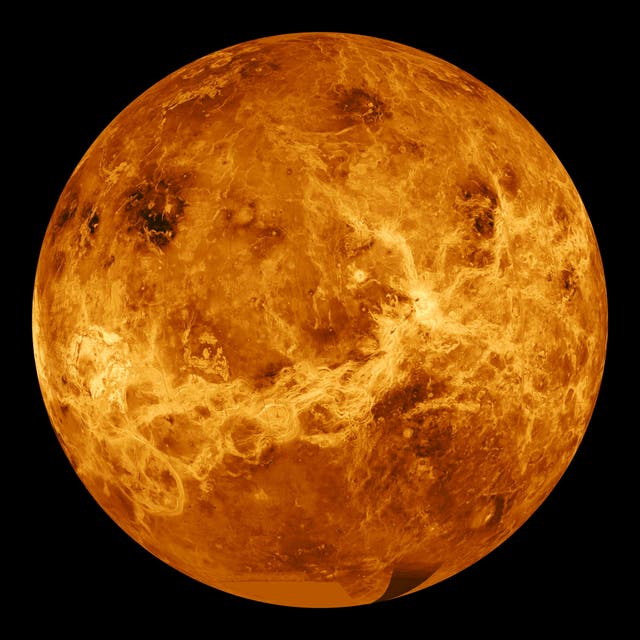 Life At Venus