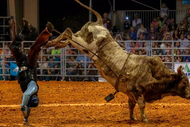 The best all-American experiences | The Independent