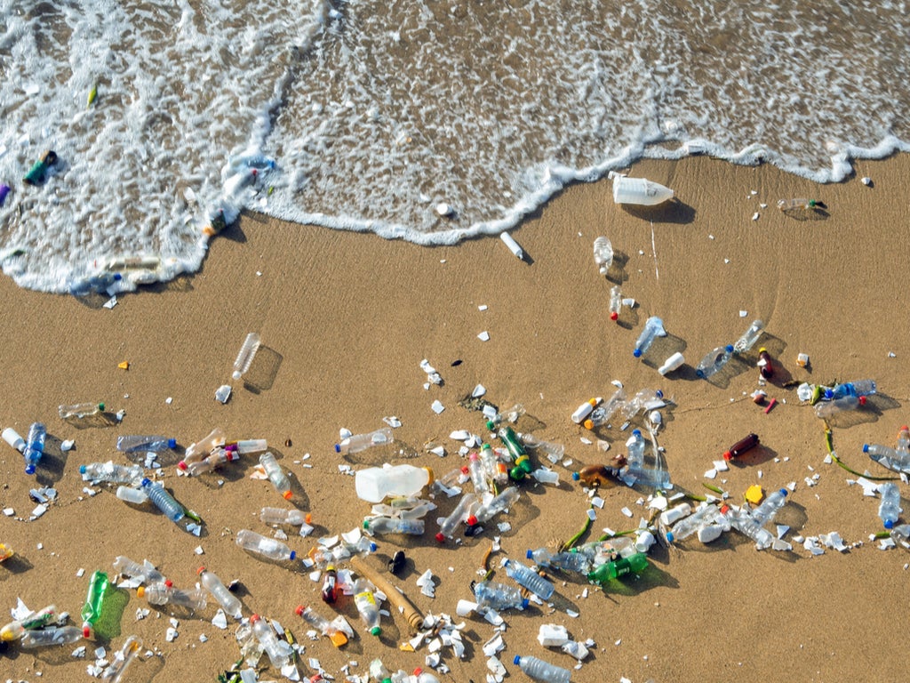 New Zealand to ban most single-use plastics by 2025