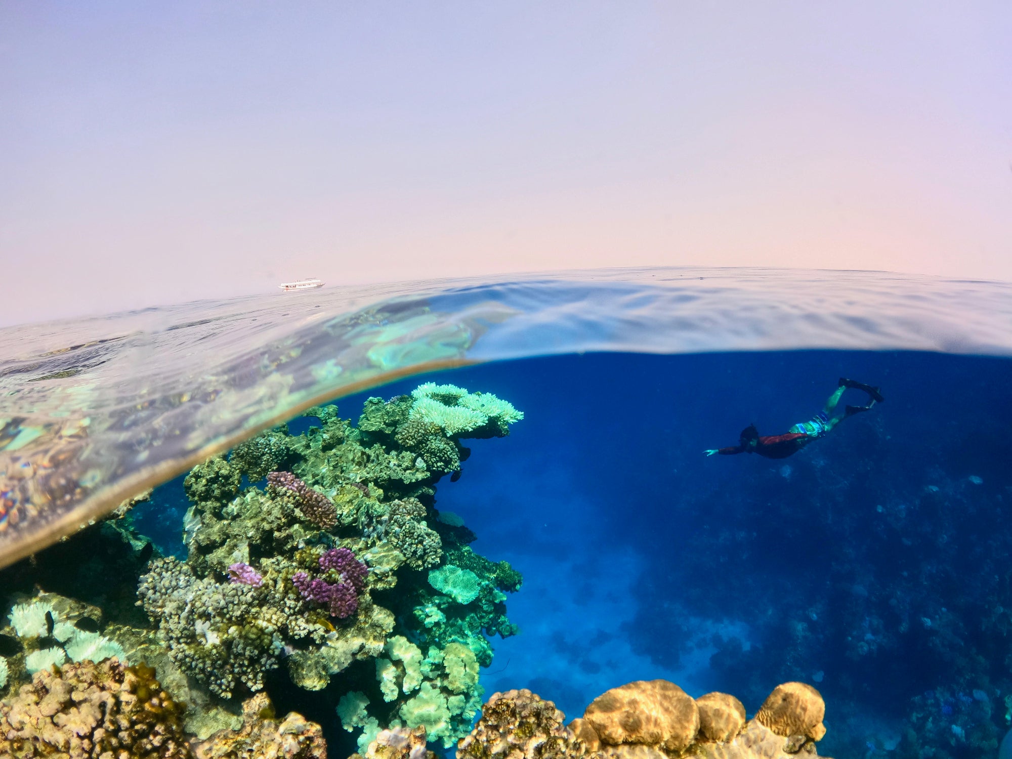 Researchers exploring the Red Sea