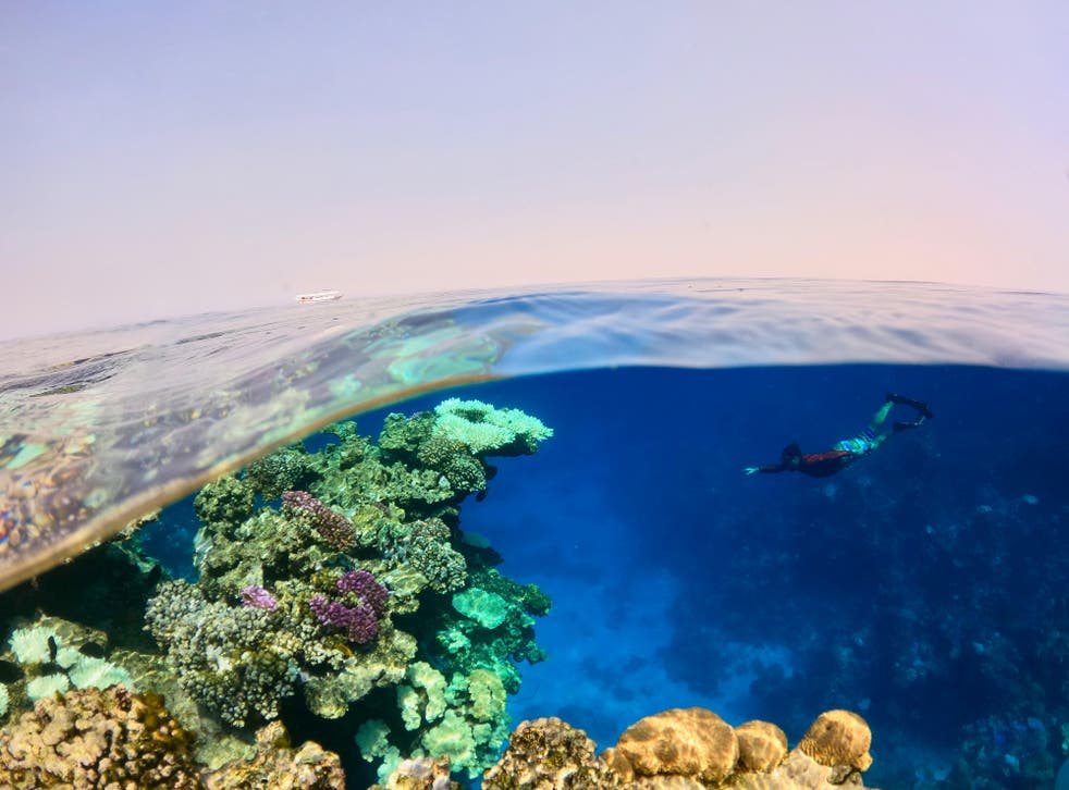 <p>Researchers exploring the Red Sea</p>