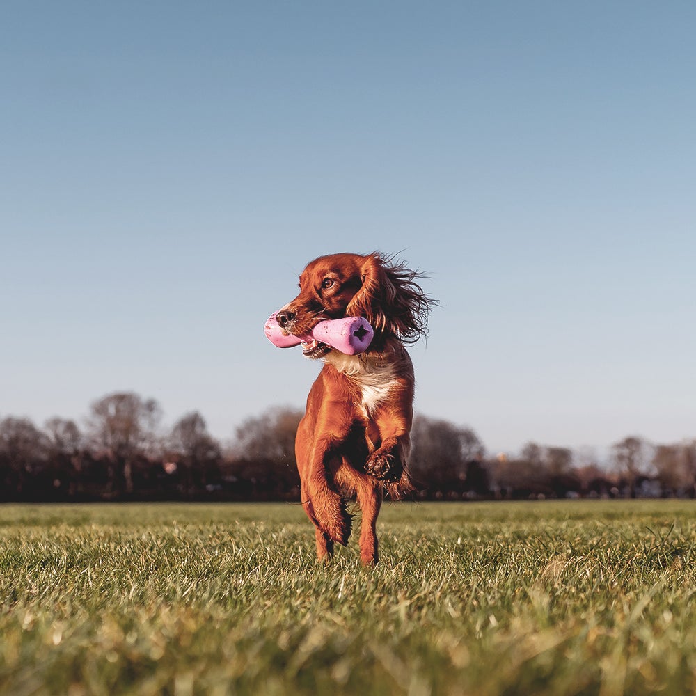 The dog toys are made from recycled material