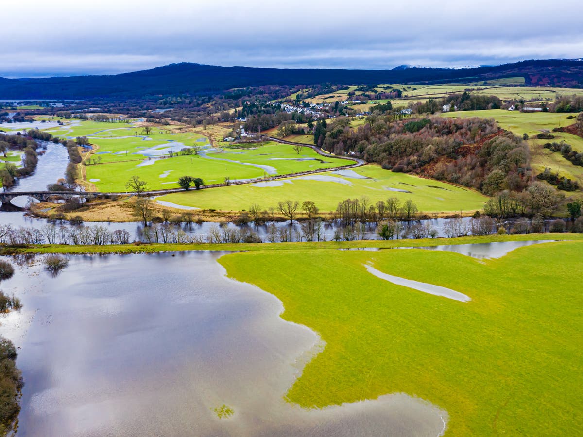 Post-Brexit environmental watchdog must ‘have teeth’ and be independent from government, Lords warn Post-Brexit environmental watchdog must ‘have teeth’ and be independent from government, Lords warn