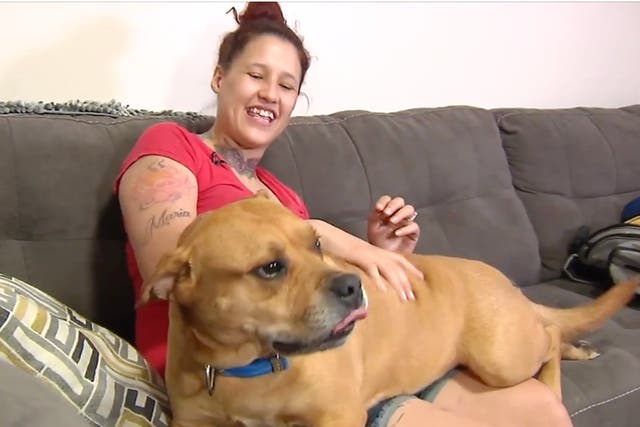<p>Woman finds dog she lost two years ago when she goes to adopt new dog from shelter</p>