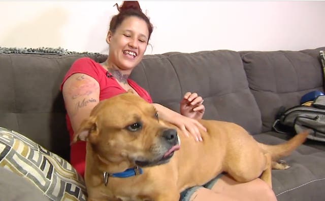 <p>Woman finds dog she lost two years ago when she goes to adopt new dog from shelter</p>