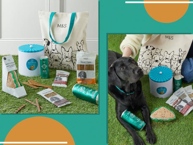 <p>Don’t forget about your four-legged friend when planning the perfect picnic</p>