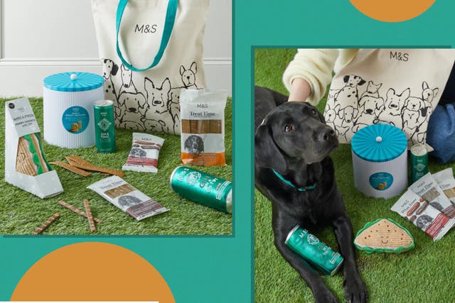 <p>Don’t forget about your four-legged friend when planning the perfect picnic</p>