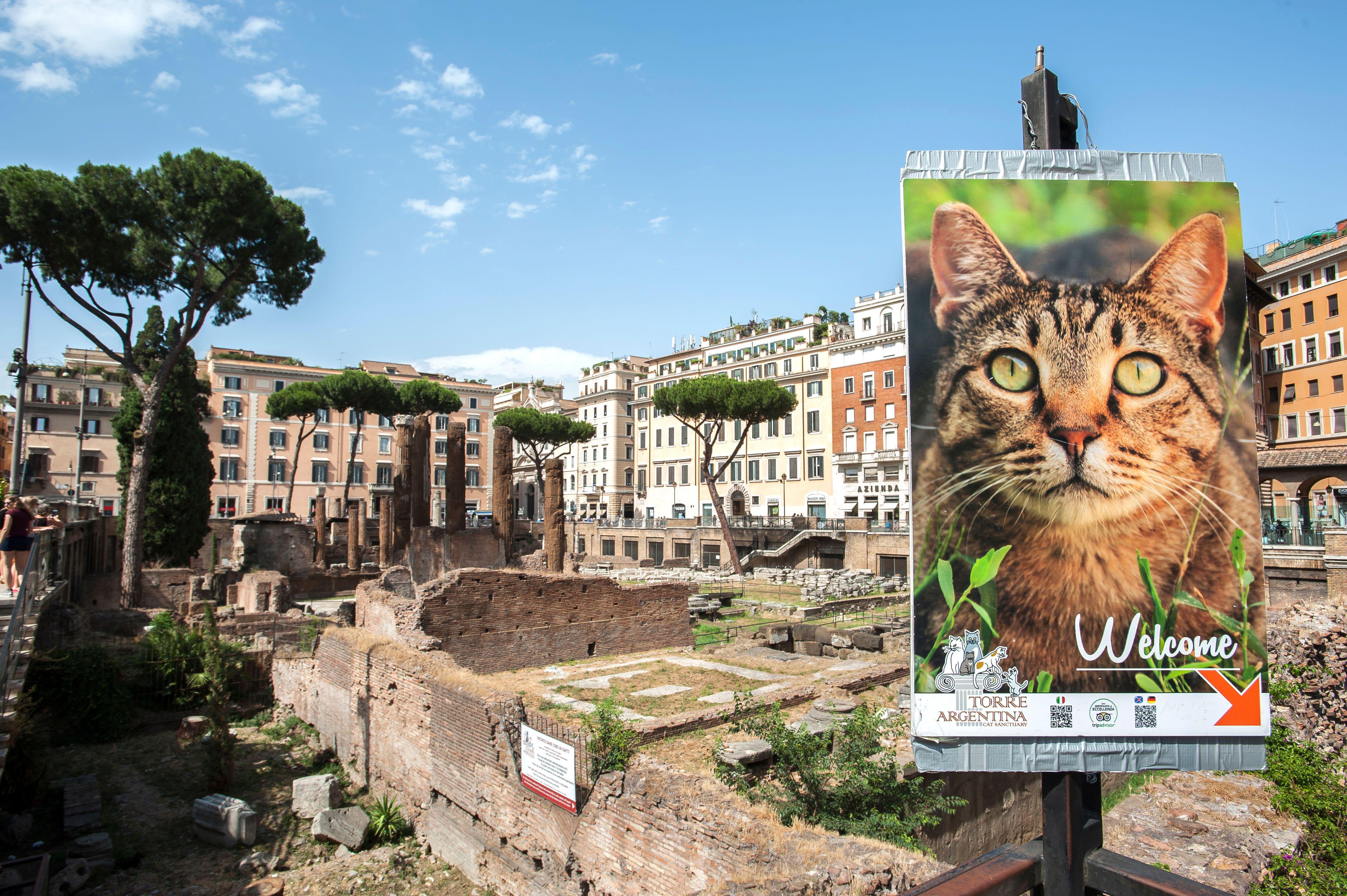 ROME, ITALY – JUNE 28, 2017 – Welcome sign at the Torre Argentina Cat Sanctuary, Rome, Italy.