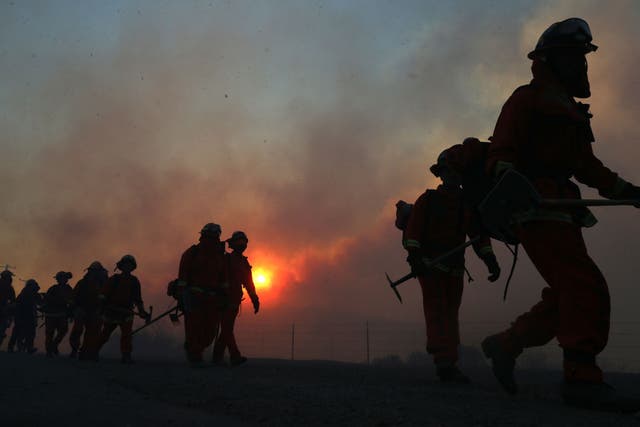 <p>The Biden administration raised the pay for federal firefighters to a minimum of $15 an hour on 30 June ahead of a potentially severe wildfire season</p>