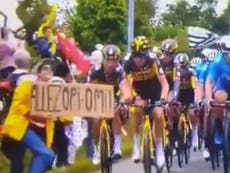 Tour de France spectator handed four-month suspended prison sentence for bringing down peloton