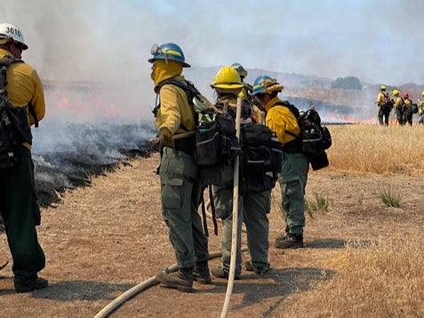 Inland Crew 5 line up along the wall of smoke and flames of prescribed burns to ensure the fire doesn’t spread