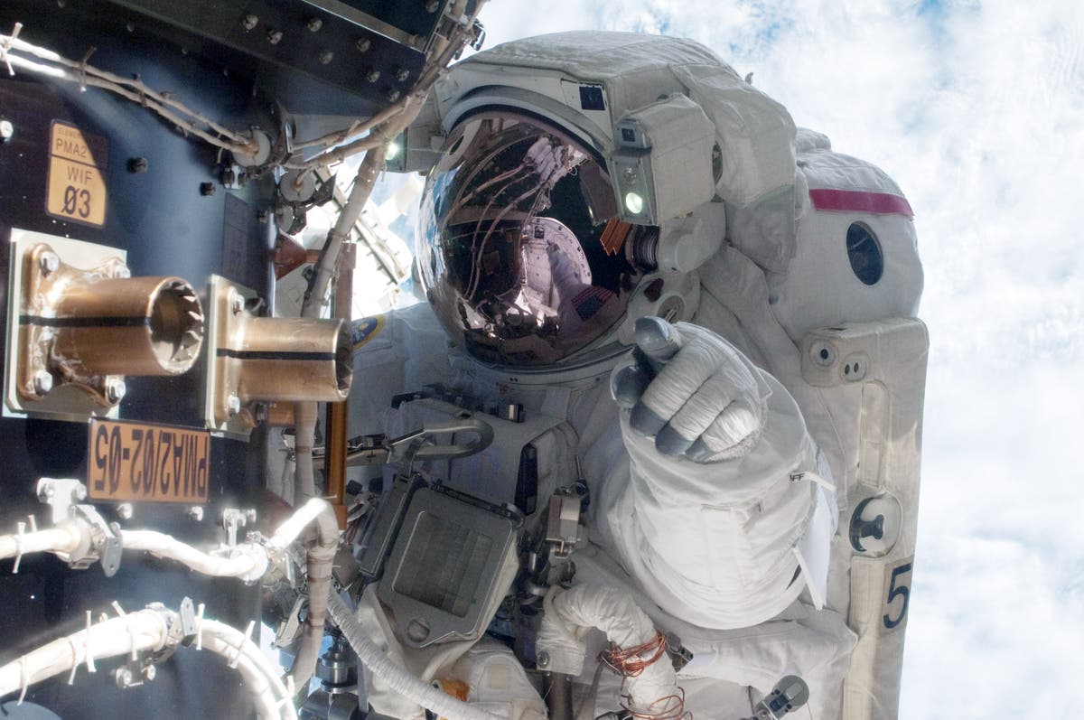 Astronauts successfully edit genes in space for first time in experimental procedure